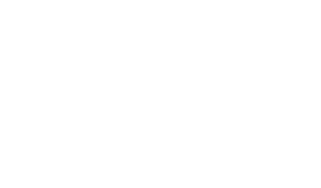 LP-VT Logo